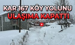 Kar 167 köy yolunu ulaşıma kapattı