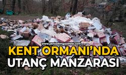 Kent Ormanı’nda utanç manzarası