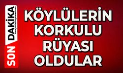 Köylülerin korkulu rüyası oldular