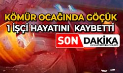 Kömür ocağında göçük: 1 işçi hayatını kaybetti