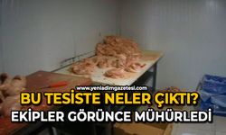Bu tesiste neler çıktı: Ekipler görünce mühürledi