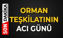Orman teşkilatının acı günü