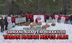 Ormanlara yem bırakıldı: Yaban hayatı nefes aldı