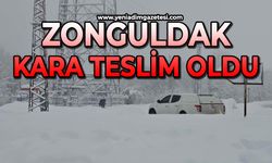 Zonguldak'ta kara teslim oldu