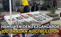 Hamsi yeniden tezgahlarda, 200 liradan alıcı buluyor