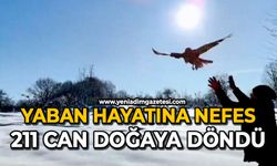 Yaban hayatına nefes: 211 can doğaya döndü