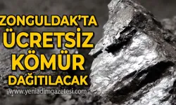 Zonguldak'ta ücretsiz kömür dağıtılacak: İşte şartlar