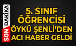 5. sınıf öğrencisi Öykü Şenli’den acı haber geldi