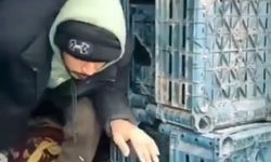 13 düzensiz göçmen yakalandı