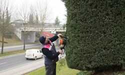 Bahar hazırlıkları başladı