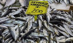 Balık tezgahlarındaki son durum