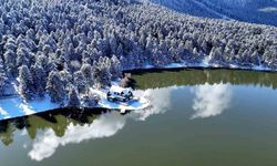 Beyaz gelinliğini giydi