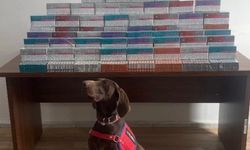 Binlerce elektronik sigara kiti ele geçirildi