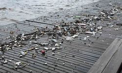 Dalgalarla sürüklenen plastik atıklar sahile vurdu