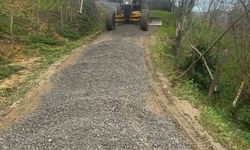 Iğdır köyünde bakım çalışmaları sürüyor