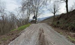 Köy yolları yenilendi