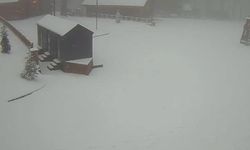 Lapa lapa kar yağıyor