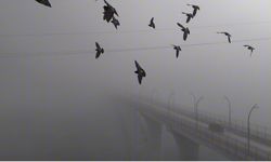 Yoğun sisten kaybolan yapılar dronla görüntülendi