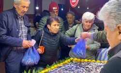 Bolu'da balık tezgahlarında hamsi bolluğu