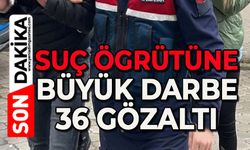 Suç örgütü operasyonu: 36 gözaltı