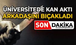 Üniversitede kan aktı: Arkadaşını göğsünden bıçakladı