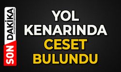 Yol kenarında ölü bulundu