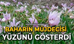 Baharın müjdecisi yüzünü gösterdi