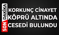 Korkunç cinayet: Köprü altında cesedi bulundu