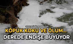 Köpük, koku ve ölüm: Derede endişe büyüyor