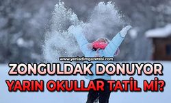 Zonguldak donuyor: Peki okullar yarın tatil mi?