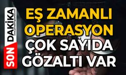 Eş zamanlı operasyon: Çok sayıda gözaltı var