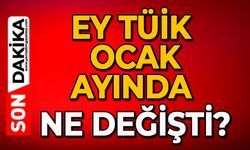 Ey TÜİK, ocak ayında ne değişti?