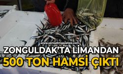 Zonguldak'ta limandan 500 ton hamsi çıktı
