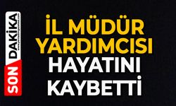 İl Müdür Yardımcısı hayatını kaybetti