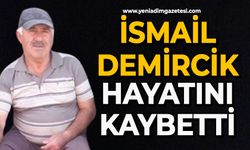 İsmail Demircik hayatını kaybetti
