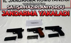 Satışa hazırlanıyordu: Jandarma yakaladı