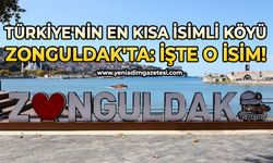 Türkiye'nin en kısa isimli köyü Zonguldak'ta: İşte o isim!