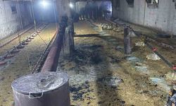 Kümes yangını büyümeden söndürüldü