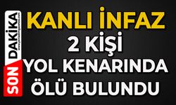 Kanlı infaz: 2 kişi yol kenarında ölü bulundu