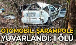 Otomobil şarampole yuvarlandı: 1 kişi öldü
