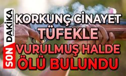 Korkunç cinayet: Aracının içinde tüfekle vurulmuş halde ölü bulundu