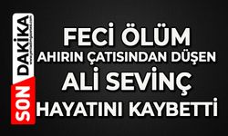 Feci ölüm: Ahırın çatısından düşen Ali Sevinç hayatını kaybetti