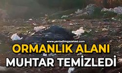 Ormanlık alanı muhtar temizledi