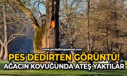 Ağaç kovuğunda yangın çıkarıldı