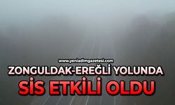 Zonguldak-Ereğli yolunda sis etkili oldu