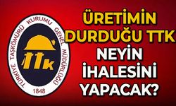 Üretimin durduğu TTK neyin ihalesini yapacak?