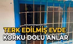 Terk edilmiş evde korku dolu anlar