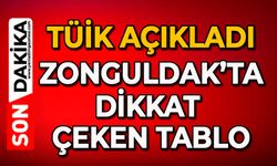 TÜİK açıkladı: Zonguldak’ta dikkat çeken tablo