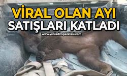Viral olan ayı, satışları katladı