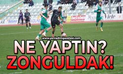 Ne yaptın Zonguldak!